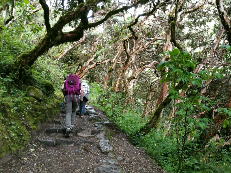 INKA TRAIL EXPRESS NACH MACHU PICCHU 3 TAGE