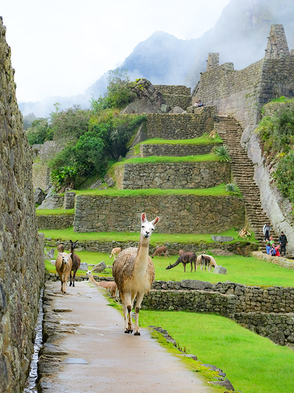¿DONDE COMIENZA EL CAMINO INCA?