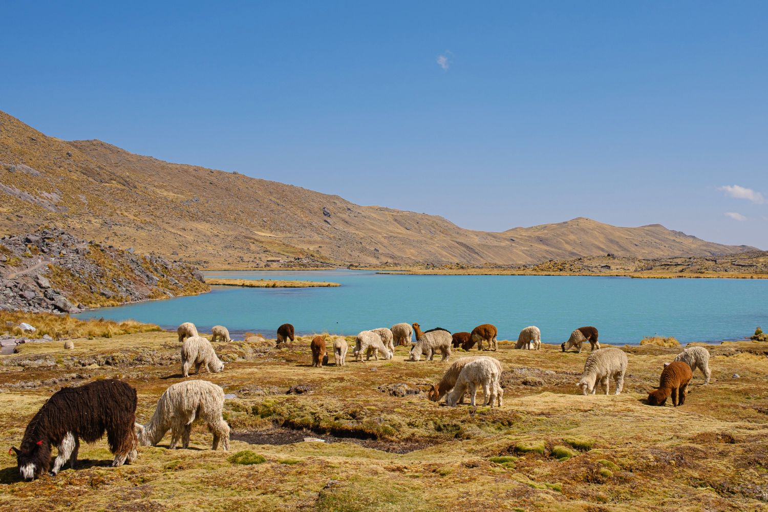 Ausangate Trek to Machu Picchu