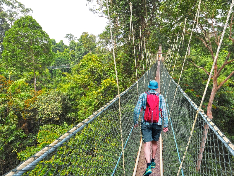 Tour im Amazonas Regenwald von Peru 5 Tage