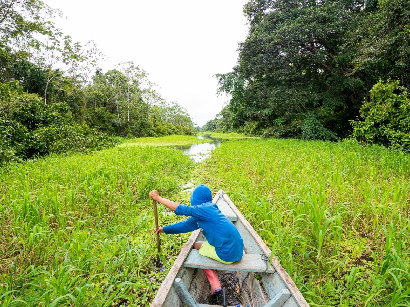 AMAZON TOURS Andean Great Treks