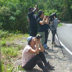 recommendations of Tour Manu Jungle 3 Days