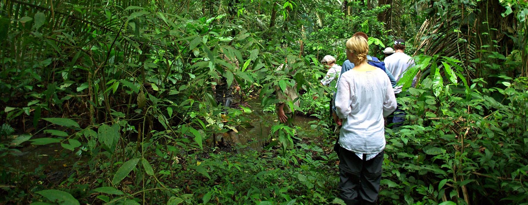 EXPLOREZ LE PARC NATIONAL MANU