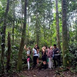recommendations of Manu National Park 4 Days
