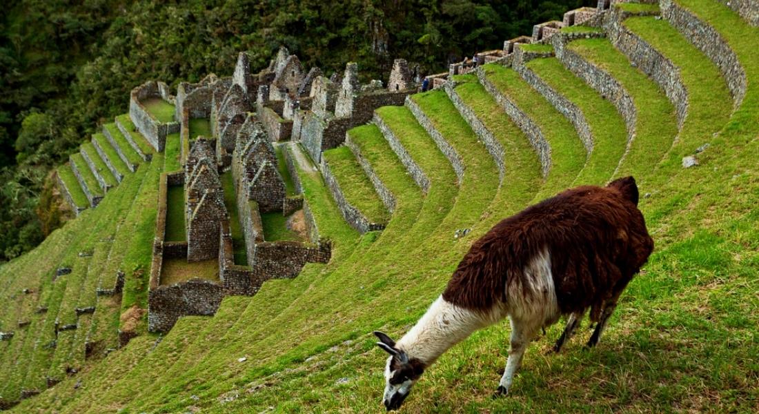 PRÉPARATION PHYSIQUE POUR LA RANDONNÉE DU CHEMIN INCA AU MACHU PICCHU