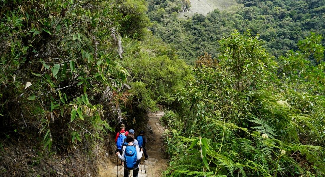QUELLE EST LA MEILLEURE SAISON POUR ALLER À LA RANDONNÉE SUR LE CHEMIN INCA DE 2 JOURS?