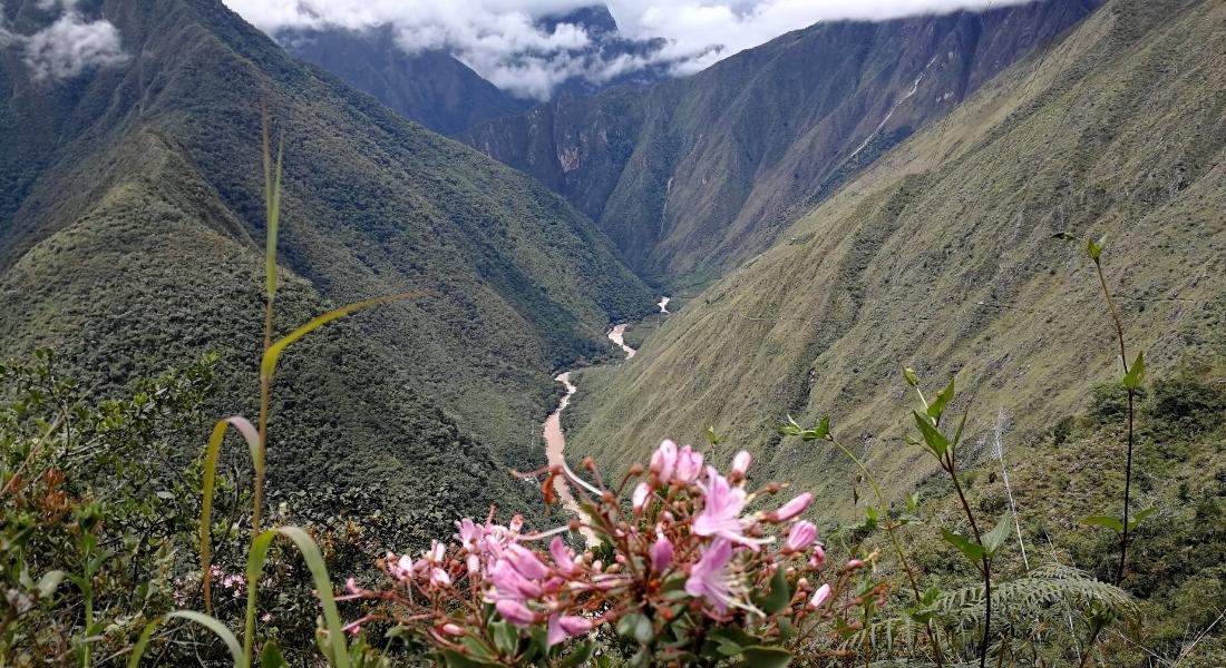 SE RENDRE À CUSCO POUR EXPLORER LA RANDONNÉE SUR LE CHEMIN INCA DE 2 JOURS