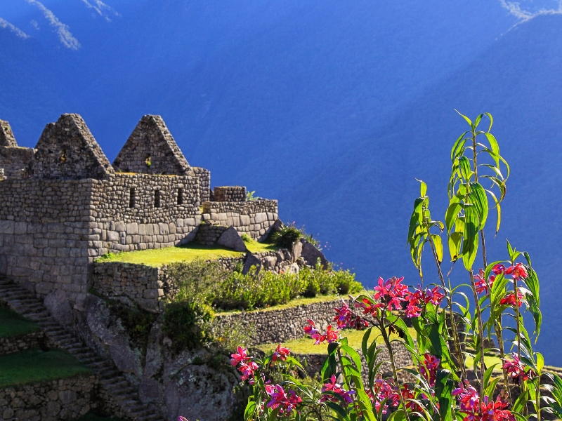 NACHMITTAGSTOUR IN MACHU PICCHU 2T/1N