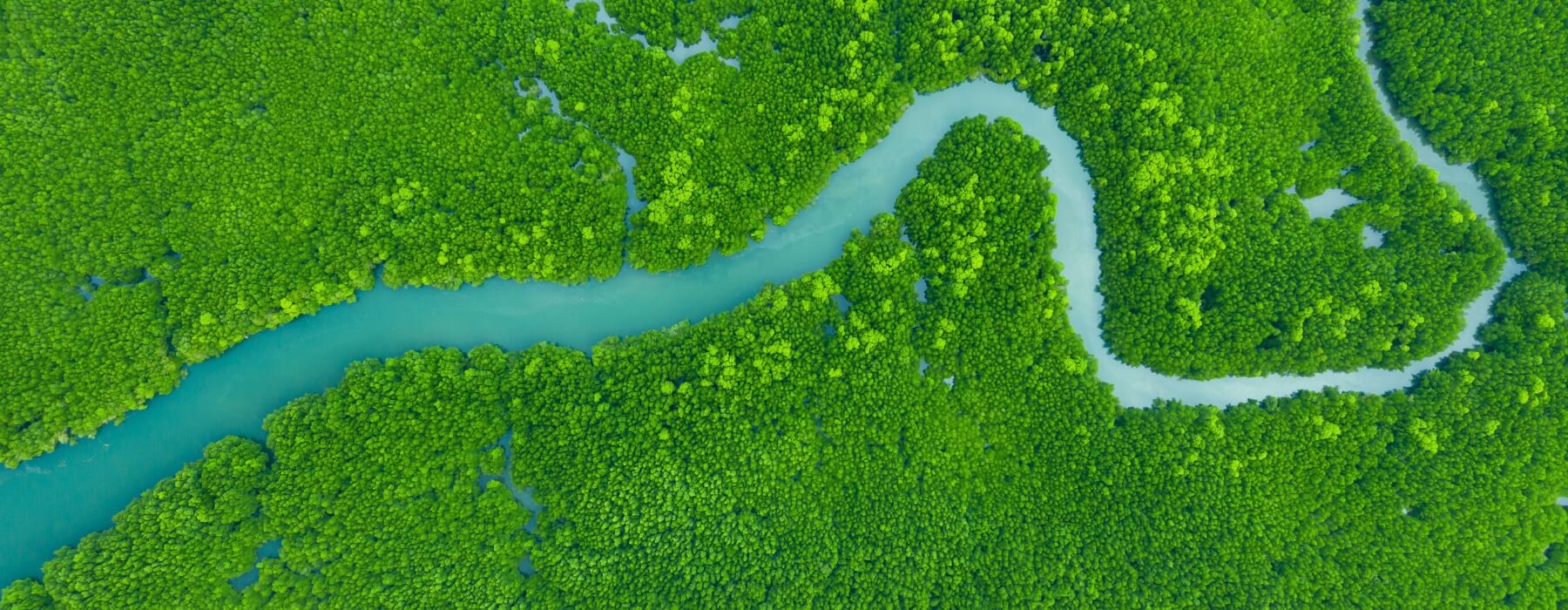 POR QUÉ DEBERÍAS VISITAR LA SELVA AMAZÓNICA PERUANA